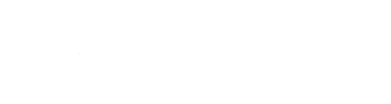 Red Lion Advisory Logo